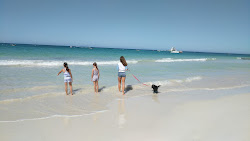 Photo de Ledge Point Beach avec rivage droit, long