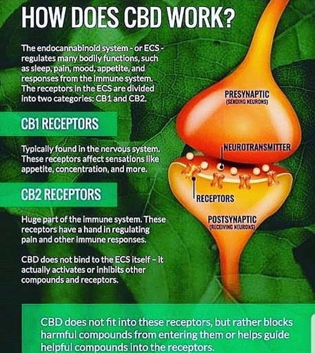 Spa «Simply Irresistible Spa», reviews and photos, 105 E Church St, DeLand, FL 32724, USA