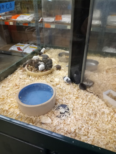 Animal Feed Store «Whittier Feed Store», reviews and photos, 12618 Penn St, Whittier, CA 90602, USA