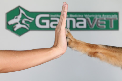 Veterinary Laboratory Gamavet em São Paulo - SP