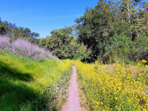 Hacienda Hills Trailhead image