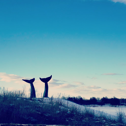 Monument «Reverence (Whales Tails)», reviews and photos, I-89, South Burlington, VT 05403, USA