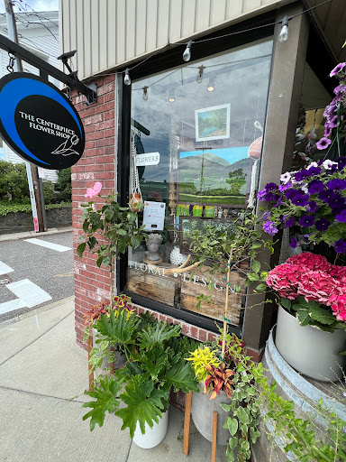 Florist «Halls of Tara Florist», reviews and photos, 2051 Centre St, West Roxbury, MA 02132, USA