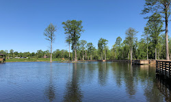 Lake City Park