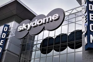 Coventry Skydome image
