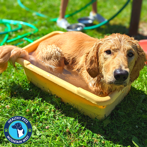 Pet Store «Healthy Pets Mountain West», reviews and photos, 2352 Fort Union Blvd, Cottonwood Heights, UT 84121, USA