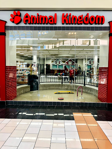 Pet Store «Animal Kingdom», reviews and photos, 4500 N Oracle Rd #254, Tucson, AZ 85705, USA