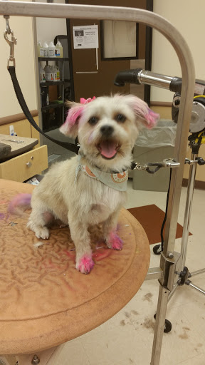 Pet Supply Store «PetSmart», reviews and photos, 4210 N 5th Street Hwy, Temple, PA 19560, USA