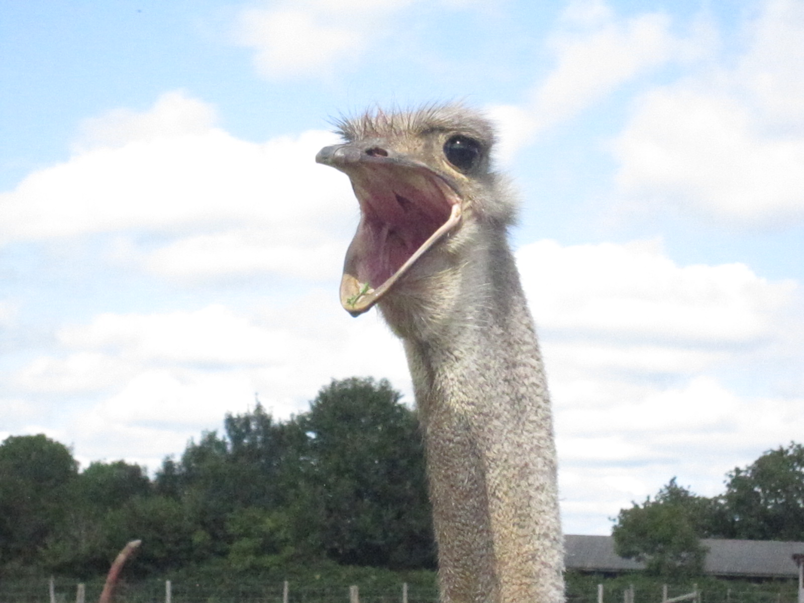 Photo n° 5 de l'avis de Pauline.O fait le 26/08/2017 à 14:01