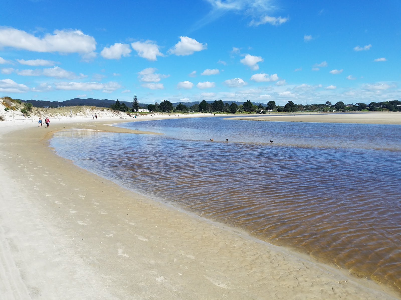 Photo de Ruakaka Beach avec l'eau turquoise de surface