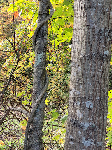 Park «Winnekenni Park», reviews and photos, 347 Kenoza Ave, Haverhill, MA 01830, USA