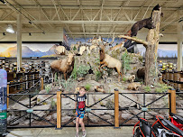 Sportsman's Warehouse - Photo 9 - Car repair in Charleston, SC, Charleston