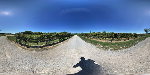 Winery «Saint Joseph Vineyard - Pinot Vista Tasting Room», reviews and photos, 7882 Warner Rd, Madison, OH 44057, USA