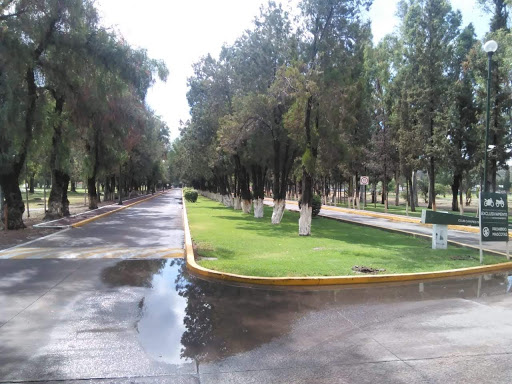 Club de bochas (lawnbowls) Victoria de Durango