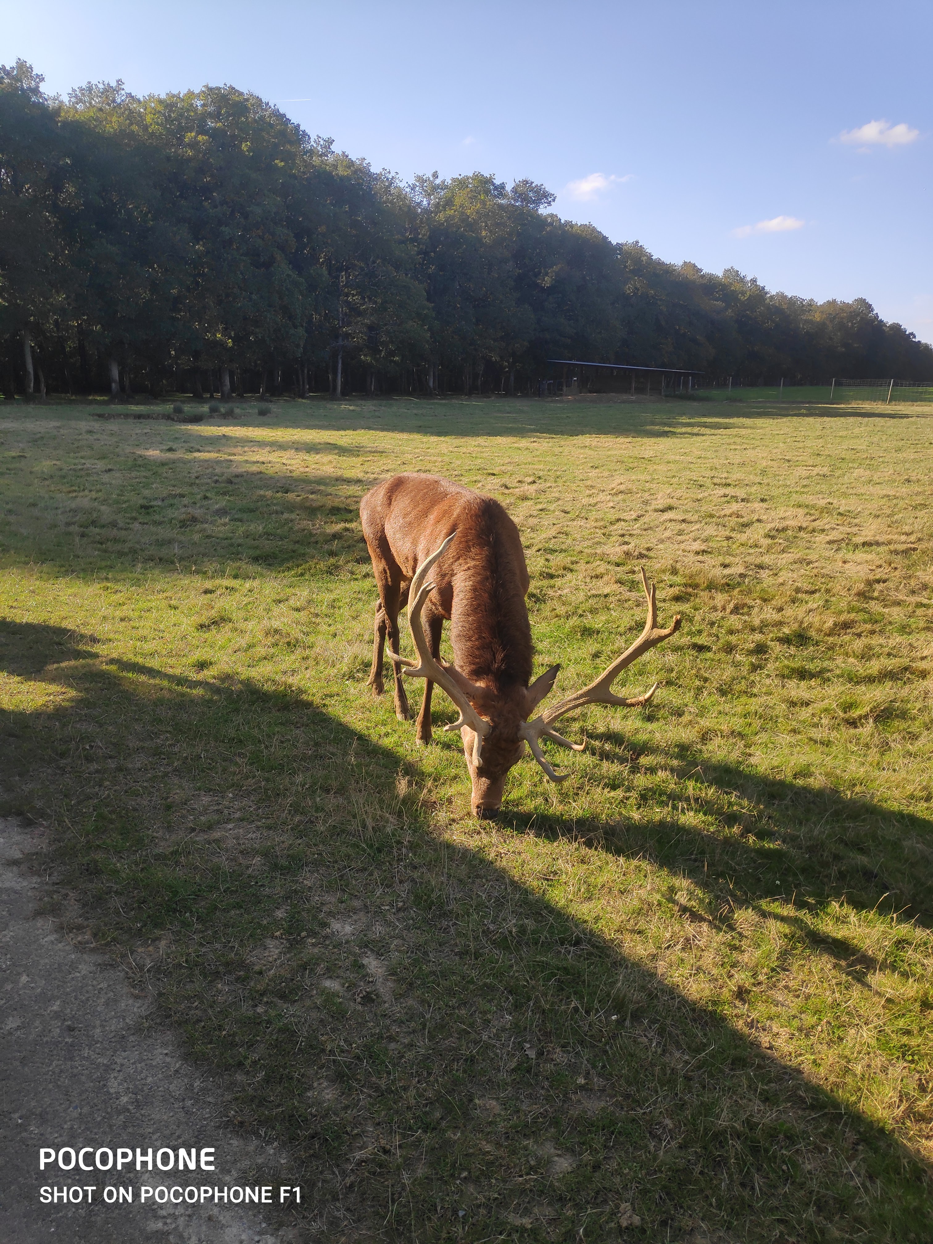 Photo n° 2 de l'avis de Christophe.u fait le 16/10/2021 à 16:00