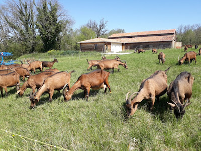 EARL L'Ecoferme de l'Azuré à Ronsenac