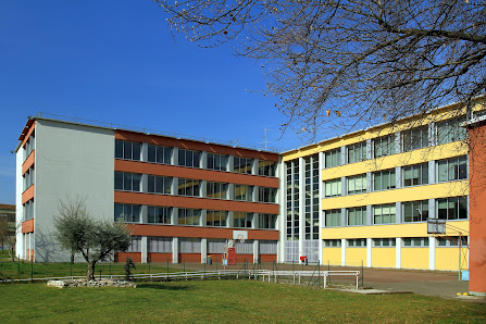 Liceo Scientifico Statale Paolo Frisi Via Sempione, 21, 20900 Monza MB, Italia