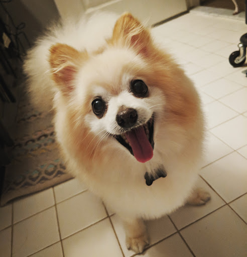 Pet Supply Store «PetSmart», reviews and photos, 4004 US-130, Delran, NJ 08075, USA