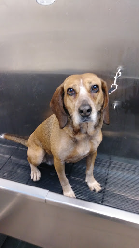 Pet Supply Store «Pet Supplies Plus», reviews and photos, 31029 Harper Ave, St Clair Shores, MI 48082, USA