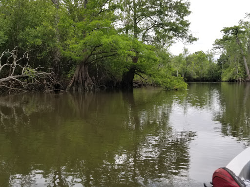 Fishing Camp «Becks Lake Fish Camp», reviews and photos, 2020 Becks Lake Rd, Cantonment, FL 32533, USA