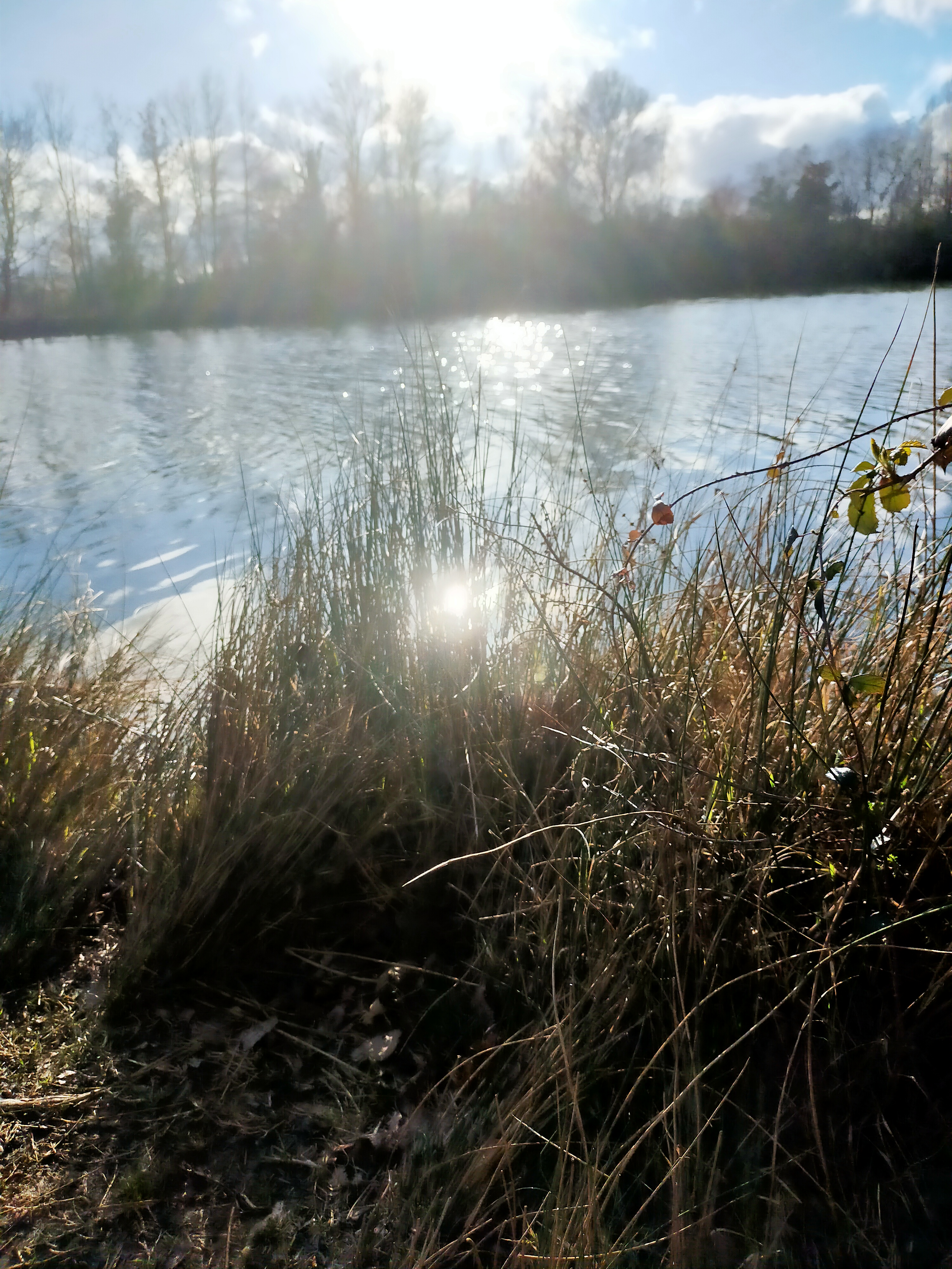 Photo n° 12 de l'avis de Domie.u fait le 13/03/2022 à 17:39