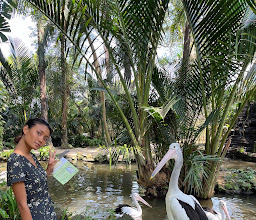 Bali Bird Park photo