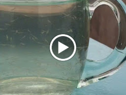 จรัญยาฟาร์ม (Jarunya Hatchery)