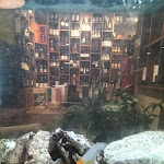 Photo n°1 de l'avis de Vânia.n fait le 01/09/2022 à 12:37 sur le  Mister Grill à Paços de Brandão