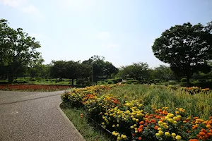 Sodegaura Park image