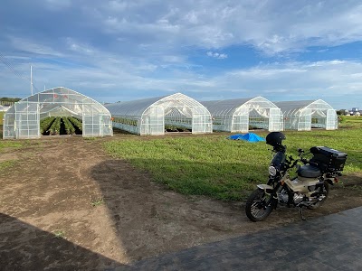 Yuzo Farm