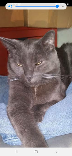 Home Improvement Store «The Home Depot», reviews and photos, 690 Riverpoint Ct, West Sacramento, CA 95605, USA