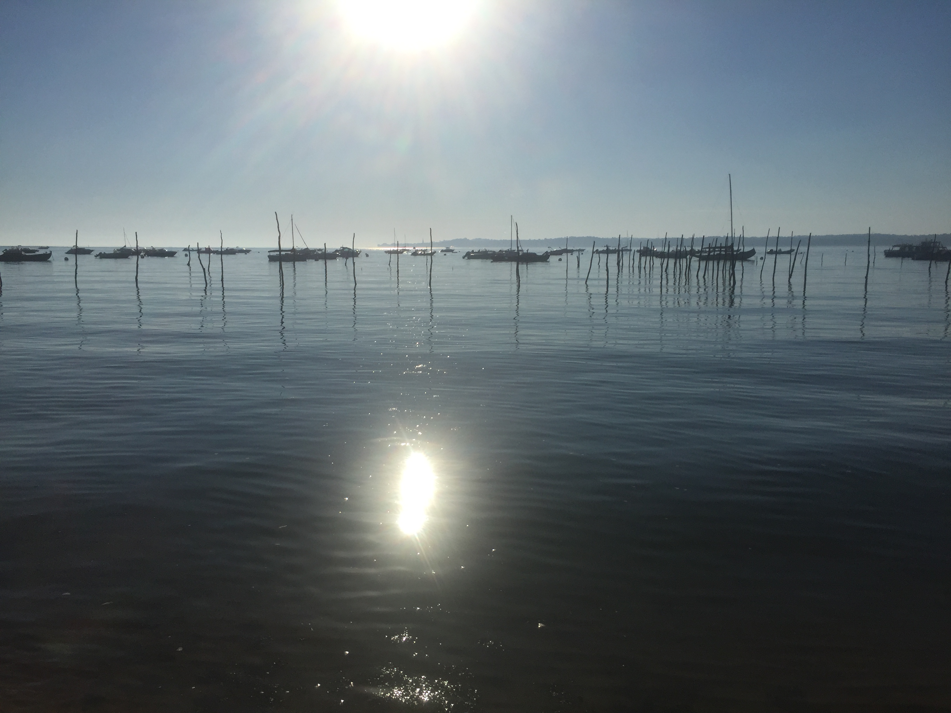 Photo n° 3 de l'avis de Alexandre.l fait le 06/08/2018 à 14:30