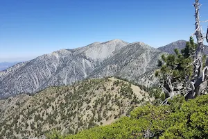 Angeles National Forest image