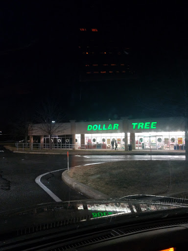 Dollar Store «Dollar Tree», reviews and photos, 1090 Revere Beach Pkwy, Chelsea, MA 02150, USA