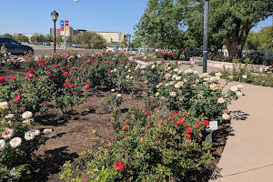 The Rose Garden At MCC