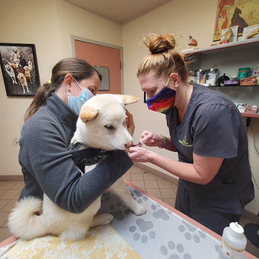 Park Animal Hospital