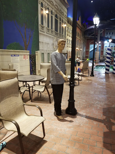 Water Park «Venetian Waterpark at Holiday Inn Hotel Maple Grove/Arbor Lakes», reviews and photos, 11801 Fountains Way, Osseo, MN 55369, USA