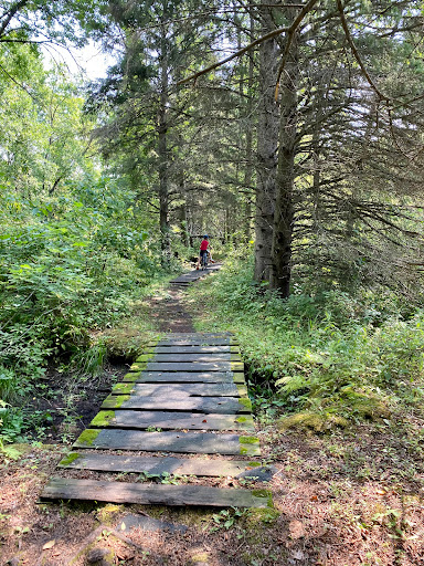 Jail Trail (North Loop) Mountain Bike and Cross Country Ski Trailhead