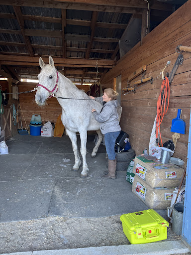 Soaring Horse Holistic Equine Therapy