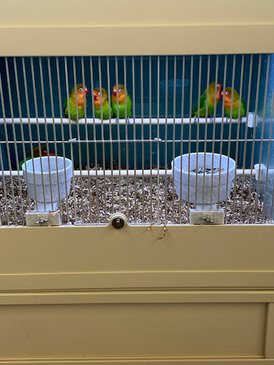 Pet Supply Store «Pet Express», reviews and photos, 180 Commercial St, Lynn, MA 01905, USA