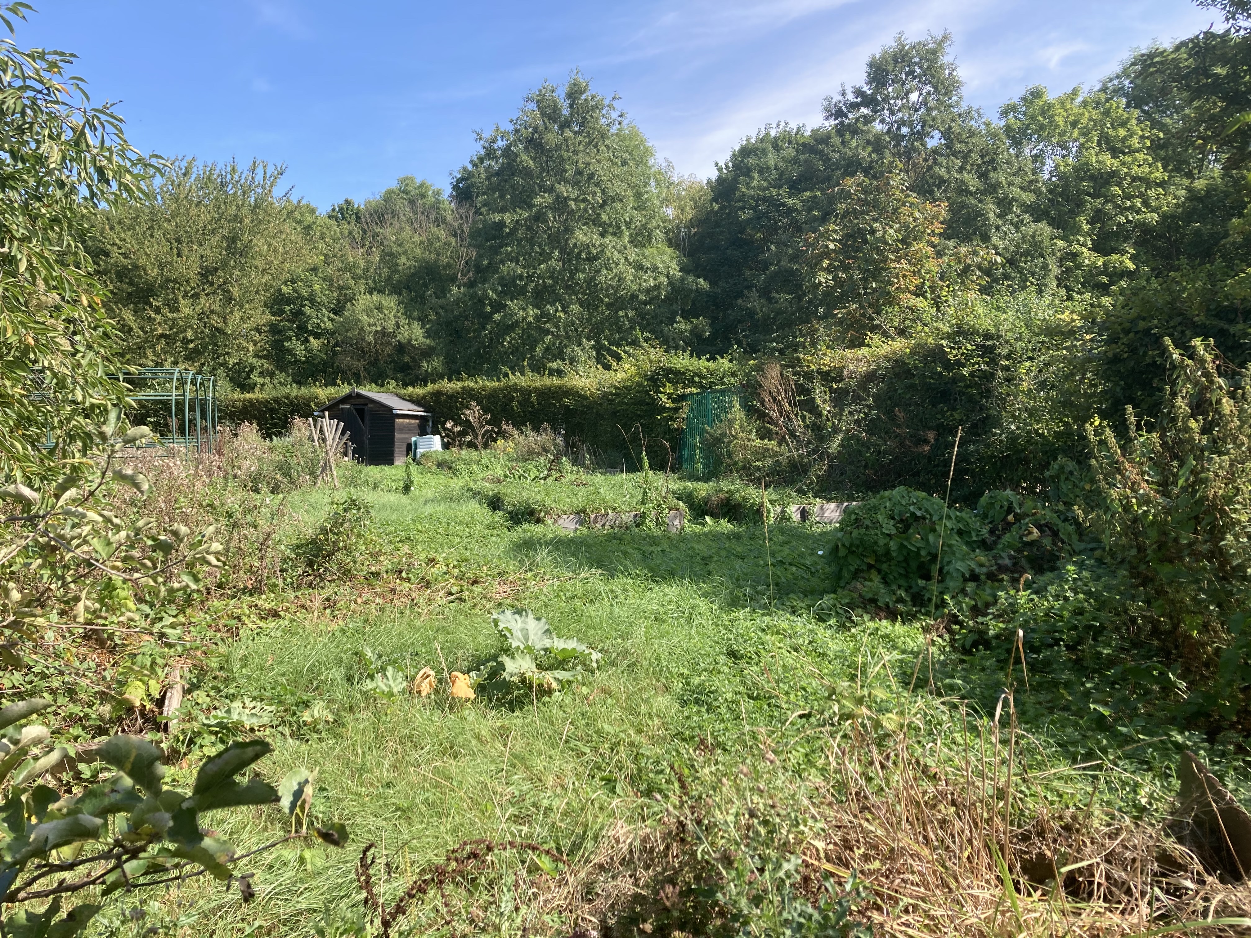 Photo n° 14 de l'avis de Cécile-Laure.H fait le 12/09/2021 à 16:29