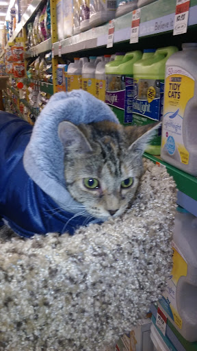 Pet Supply Store «Pet Supplies Plus», reviews and photos, 690 N State St, Westerville, OH 43082, USA