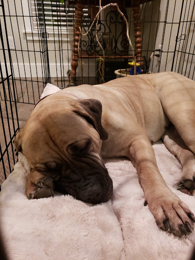 Pet Supply Store «Petco Animal Supplies», reviews and photos, 2210 N Eagle Rd, Meridian, ID 83646, USA