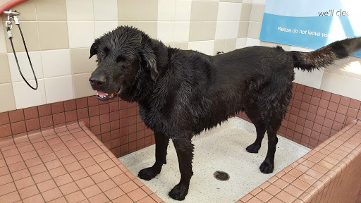 Pet Supply Store «Pet Food Express», reviews and photos, 320 S Lake Ave, Pasadena, CA 91101, USA