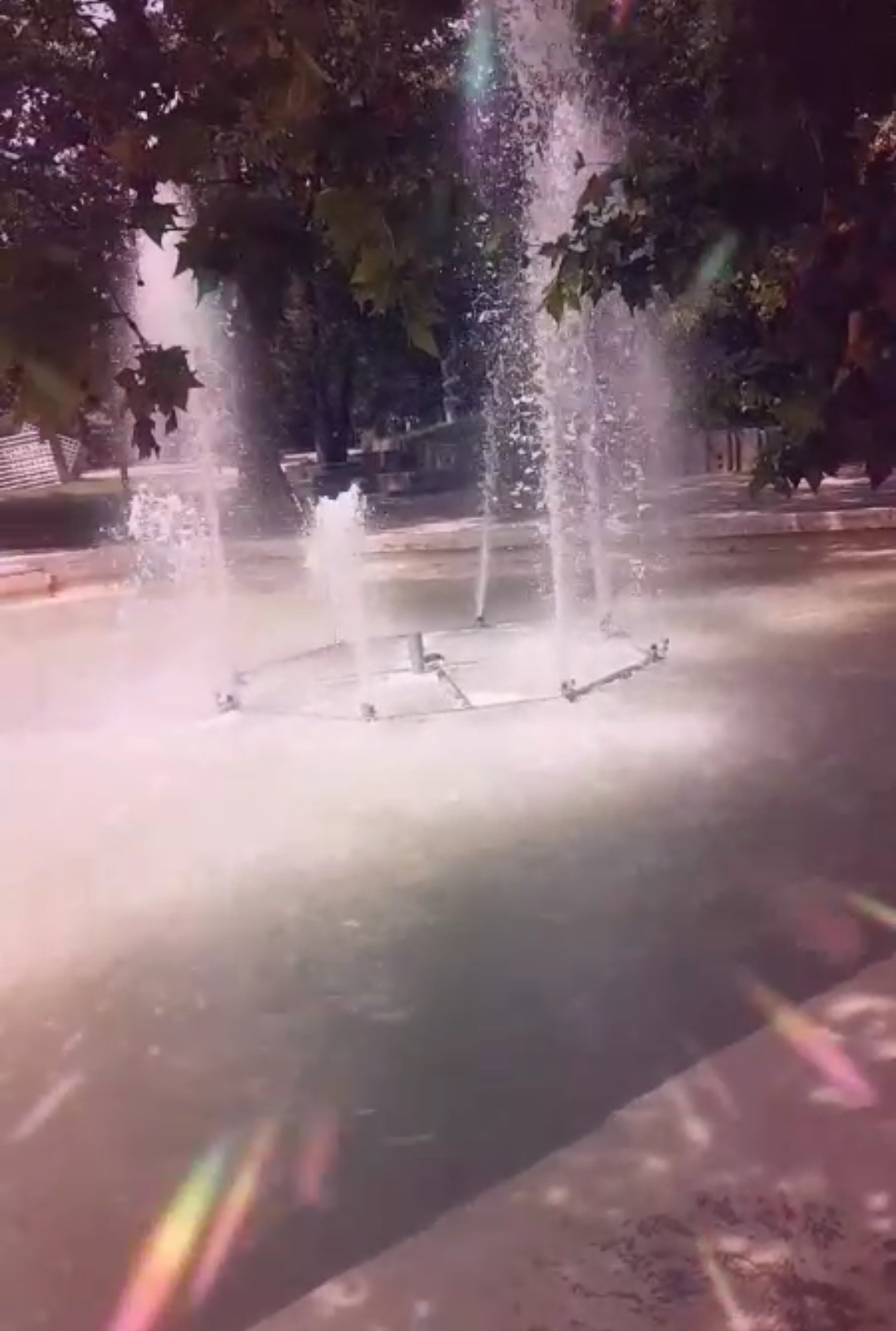 Photo n° 1 de l'avis de Elyna.h fait le 26/07/2020 à 02:57