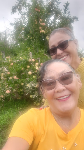 Orchard «Autumn Hills Orchard», reviews and photos, 495 Chicopee Row, Groton, MA 01450, USA