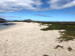 Foto di Playa La Galapaguera con molto pulita livello di pulizia