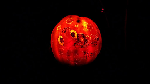 Zoo «Jack-O-Lantern Spectacular», reviews and photos, 1000 Elmwood Ave, Providence, RI 02905, USA