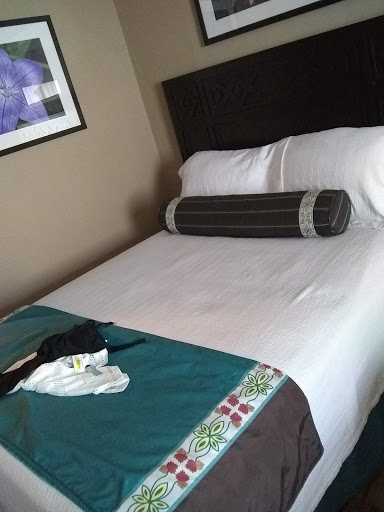 Water Park «Soaring Eagle Waterpark and Hotel», reviews and photos, 5665 E Pickard Rd, Mt Pleasant, MI 48858, USA