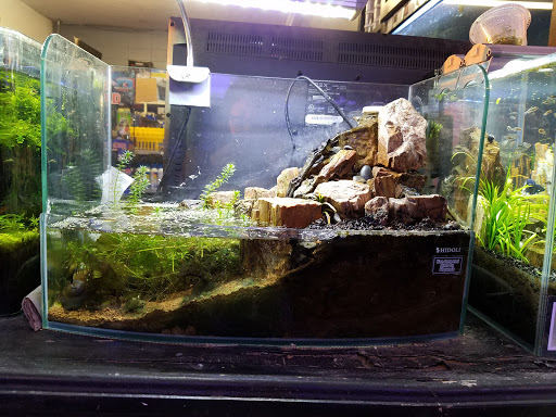 Tropical Fish Store «C K Fish World», reviews and photos, 410 N Azusa Ave, West Covina, CA 91791, USA